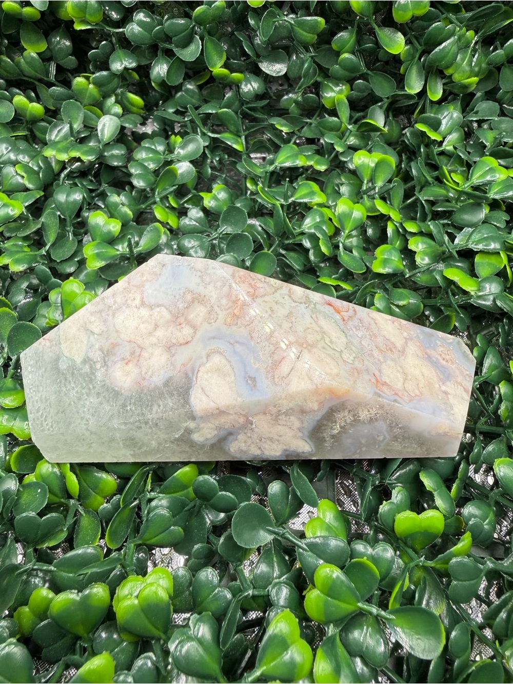 Stunning Green Flower Agate Freeform